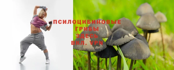 Альфа ПВП Покров