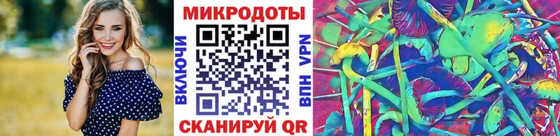 Купить  Гулькевичи  Псилоцибиновые грибы Cubensis 